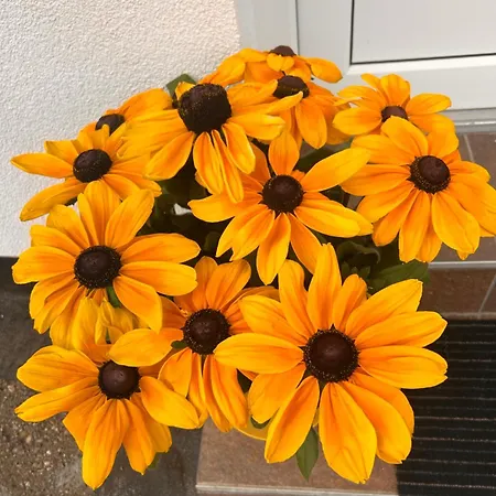 公寓 Fe Wo Auf Der Alb