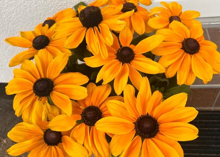 Appartement Fe Wo Auf Der Alb